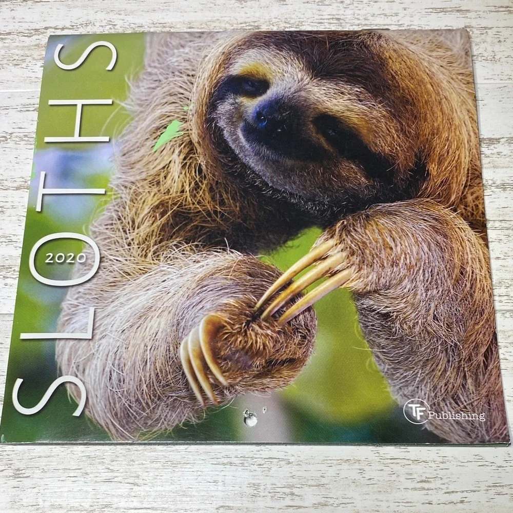 Sloths 2020 Calendar Unused New 7”x7”